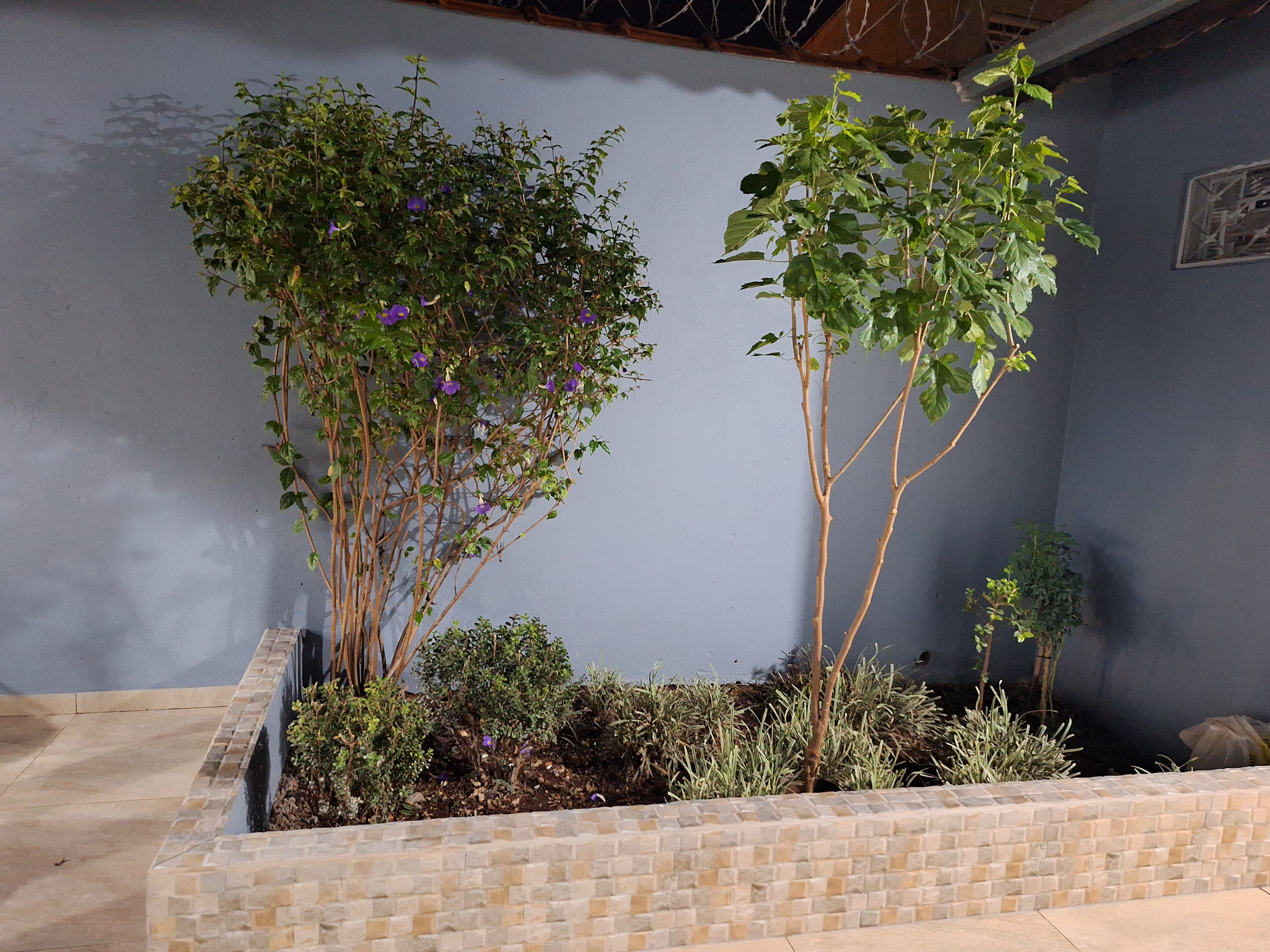 galeria de fotos pousada situada em RIBEIRÃO PRETO colibri